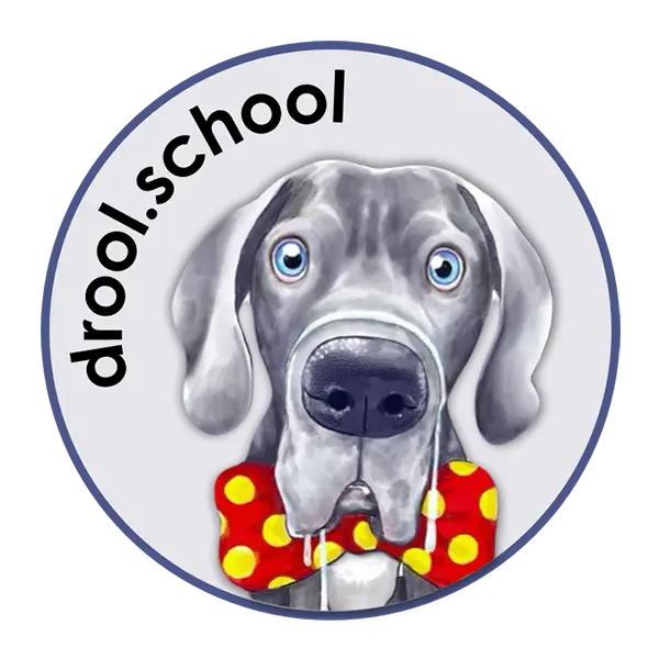 Drool School by Barb Stone
