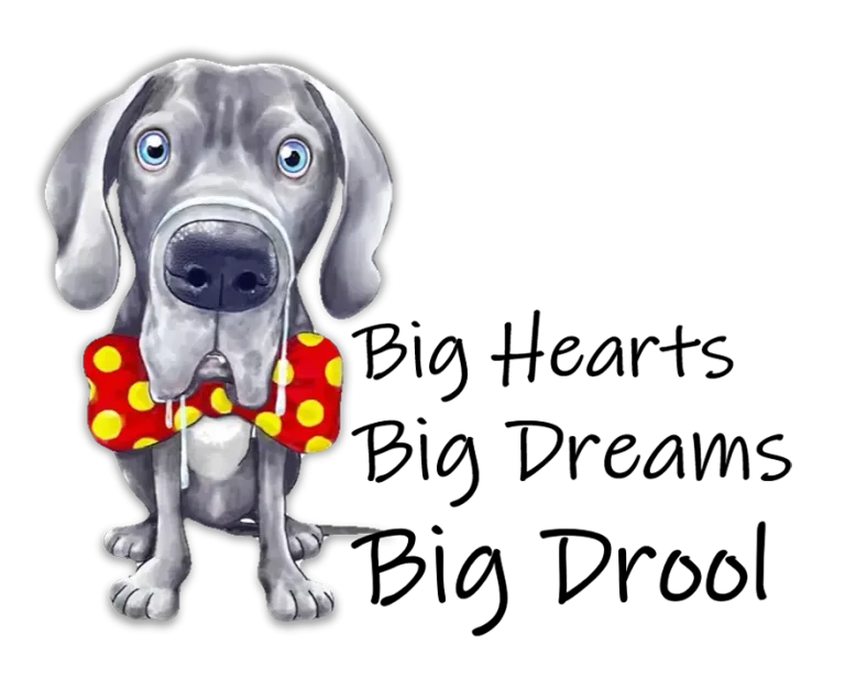 Drool School slogan with Zeus the dog