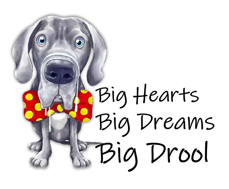 Drool School slogan with Zeus the dog