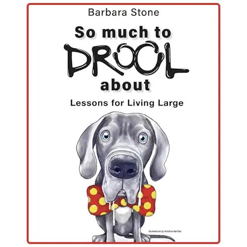 So Much to Drool About: Lessons for Living Large by Barb Stone